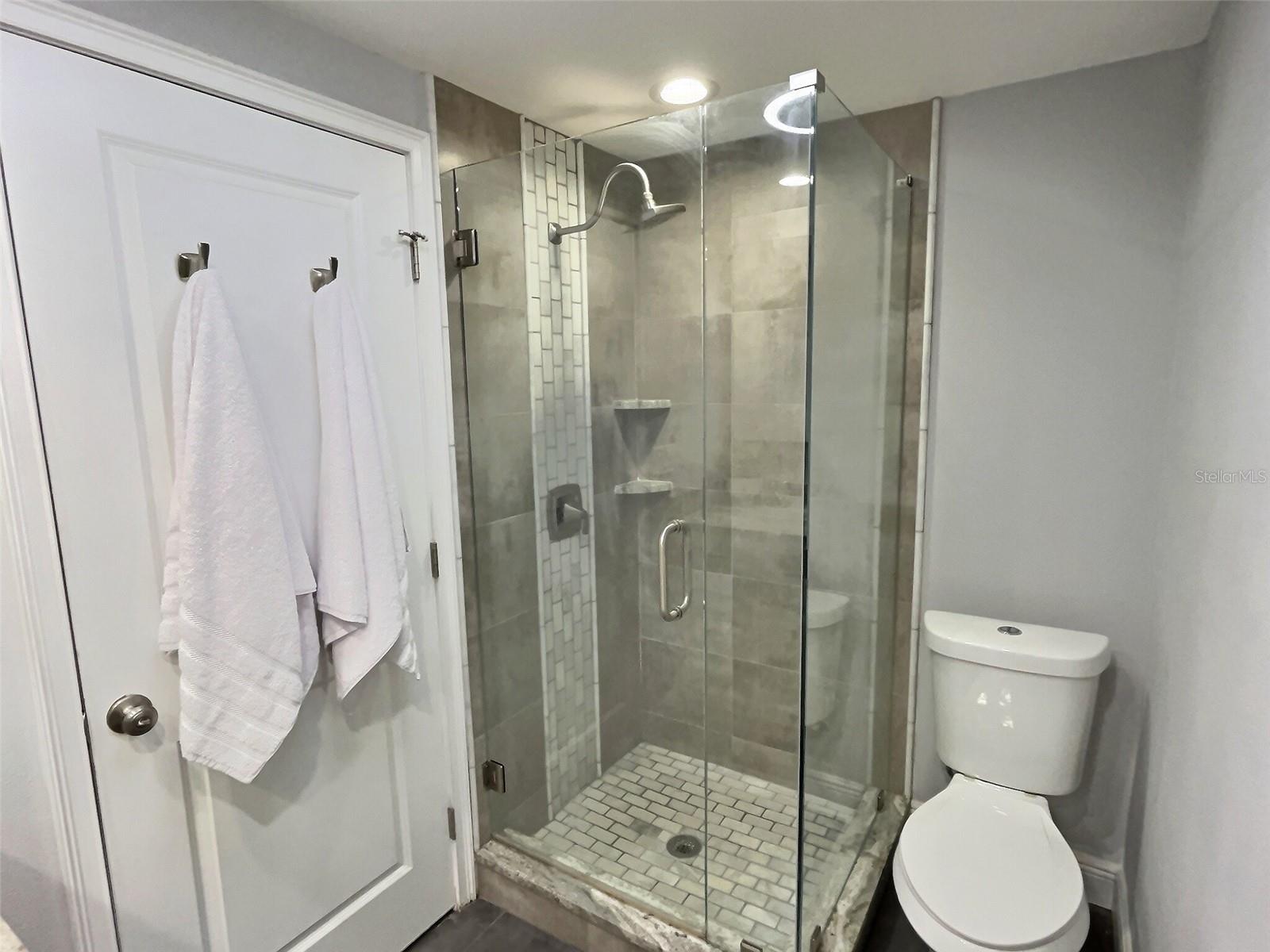 Primary Bathroom Shower