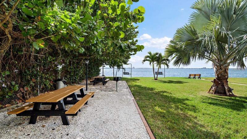West side of TS property overlooking Boca Ciega Bay
