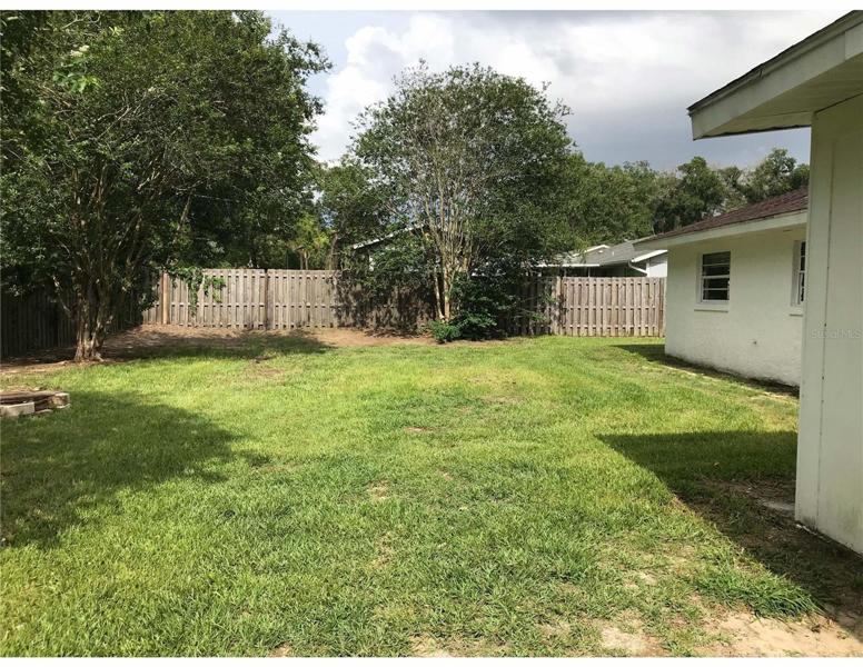 Backyard