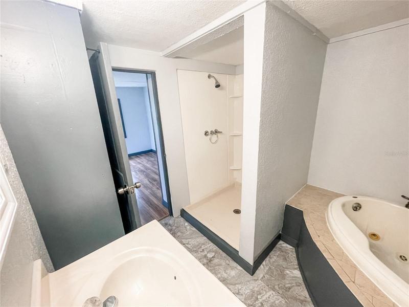 Separate Shower &amp; Garden Tub