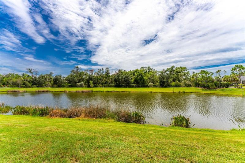 Pond view from Lanai