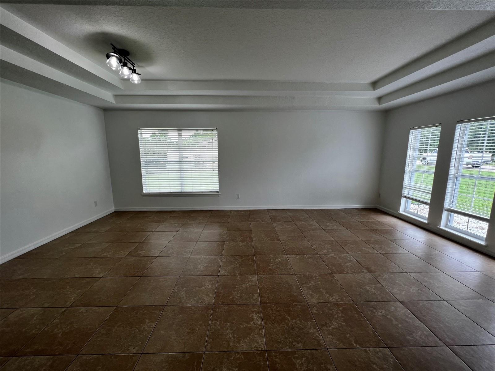 Living room / dining room