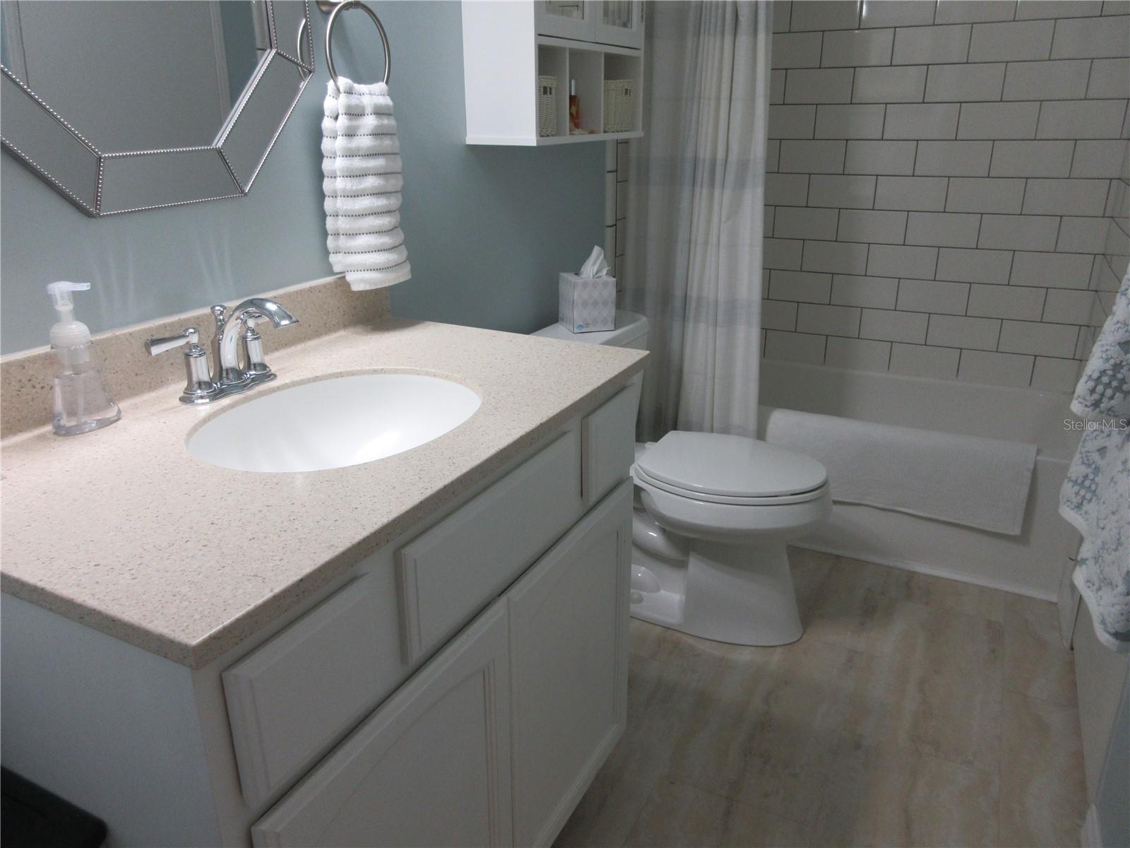 Main Bath- fully upgraded- vinyl titles