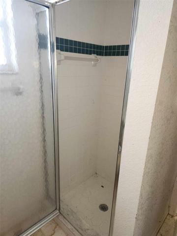 Master bath shower