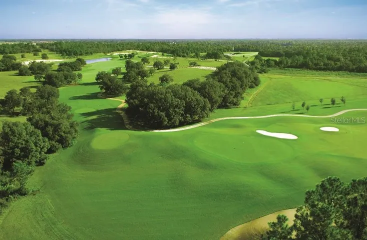 Championship Golf