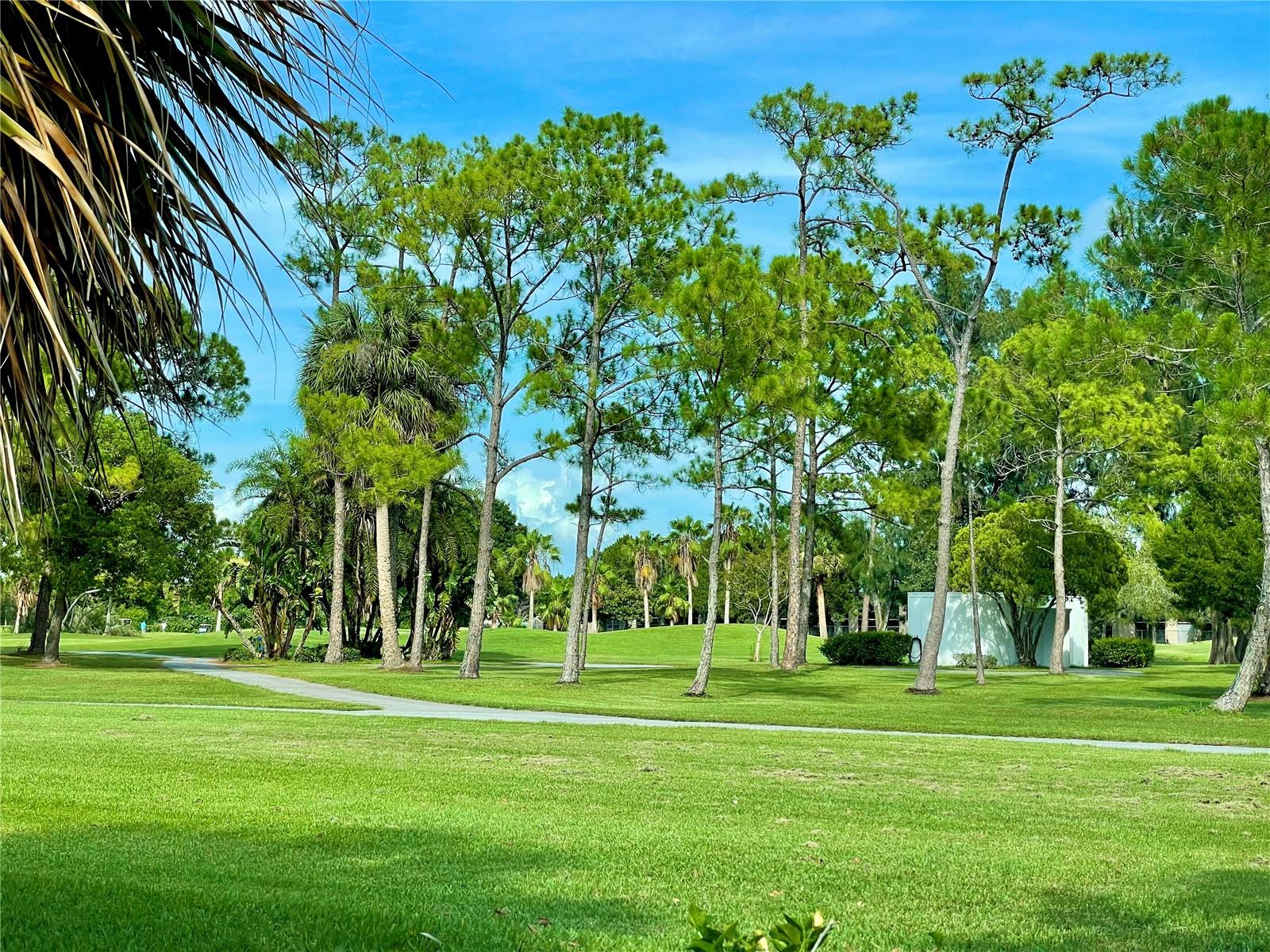 The amazing views of Old Tampa Bay and an abundance of wildlife make Cove Cay a golf course that you won’t want to miss!