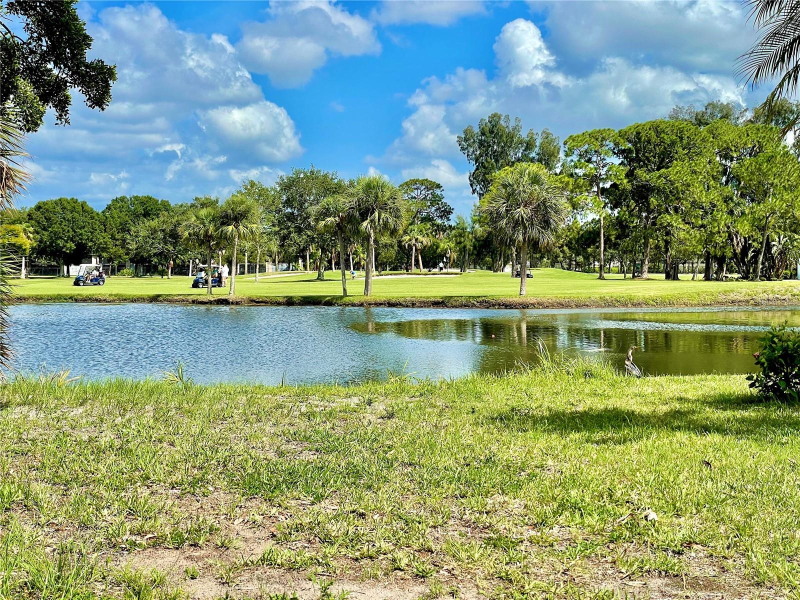 You'll think your on vacation every day at Cove Cay golf community on Old Tampa Bay!