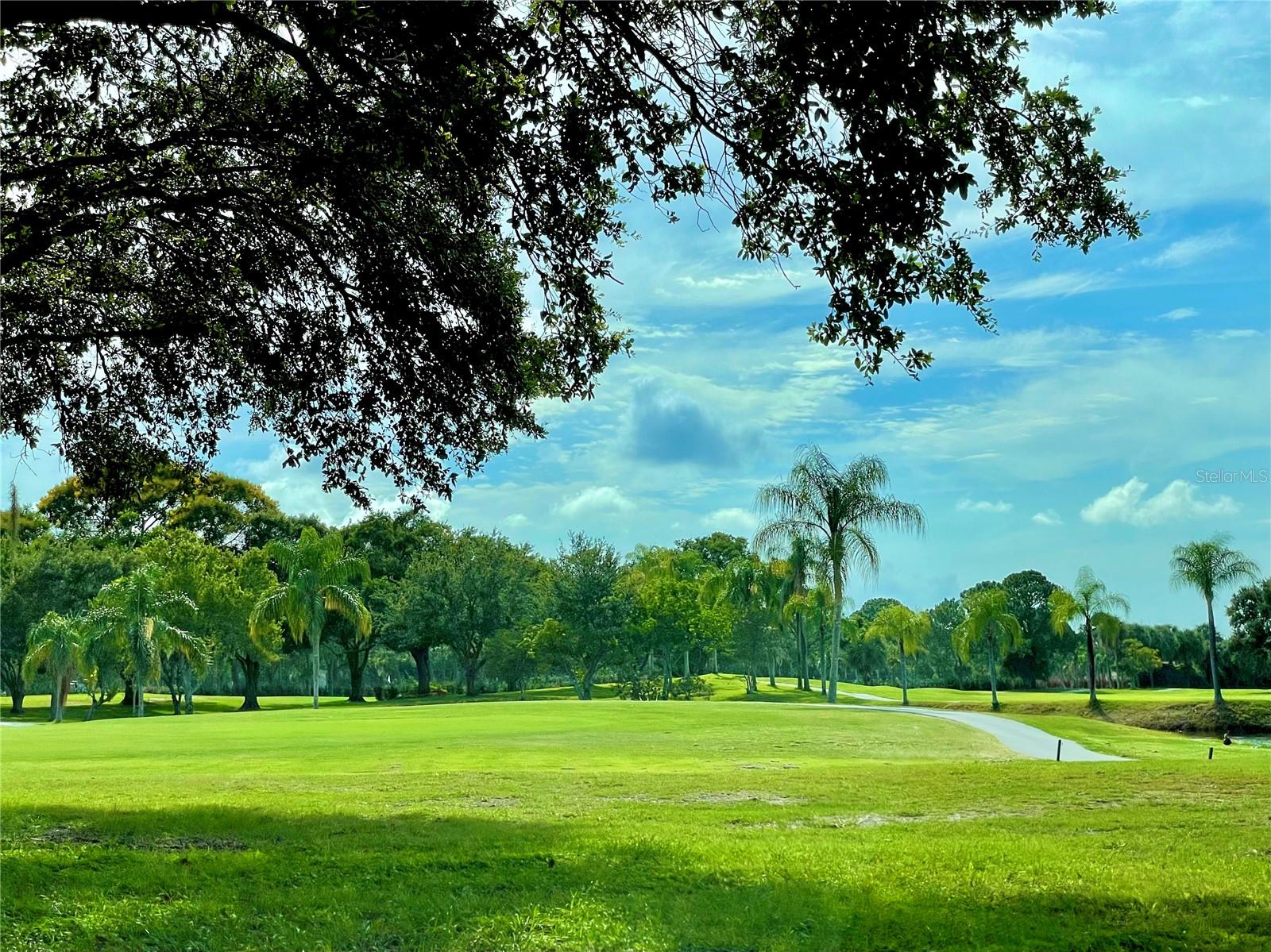 Peace and quiet of natural surroundings....