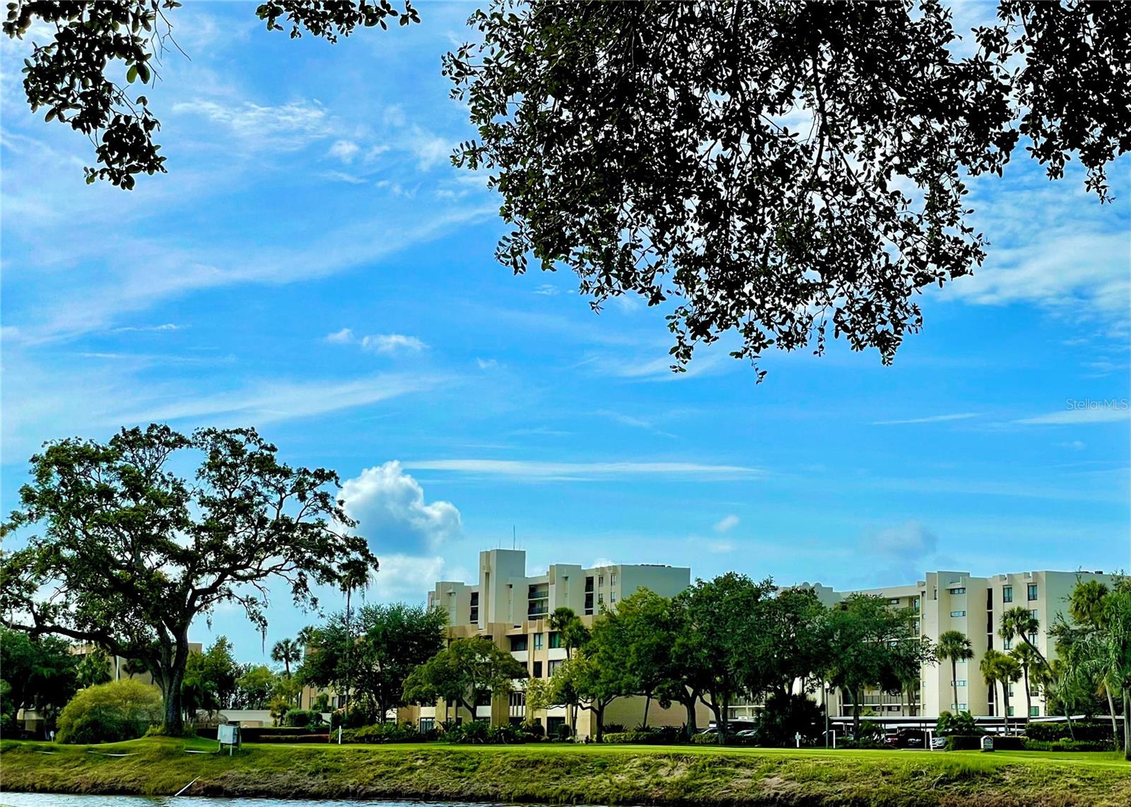 Lovely shaded view over the pond as you wind around on the approach to Village 1 at Cove Cay.