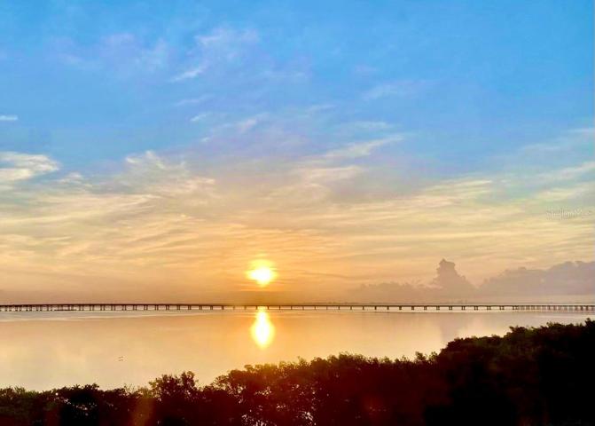 Waterfront Sunrise from Living Area & Owners Suite of #605 condo on Old Tampa Bay and the Bayside Bridge.