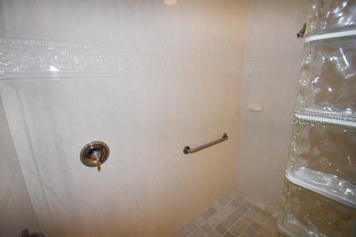 Master Bath shower