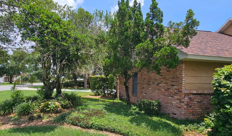 Front Garden