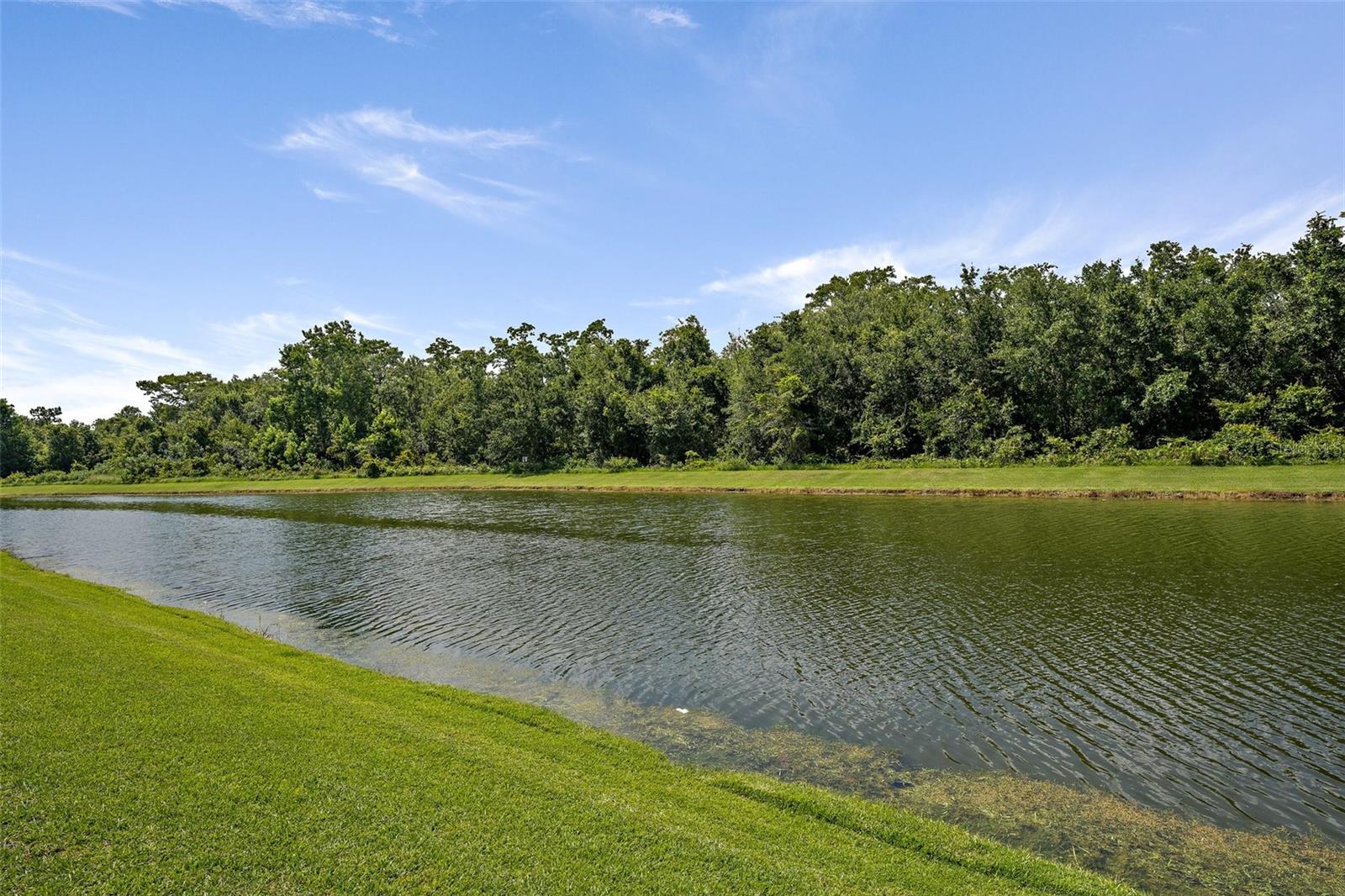 Lake behind property