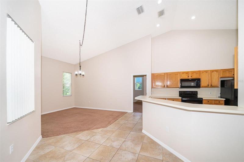 Family Room/Kitchen