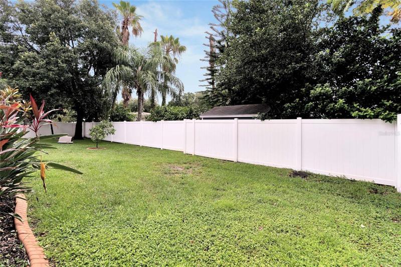 Backyard