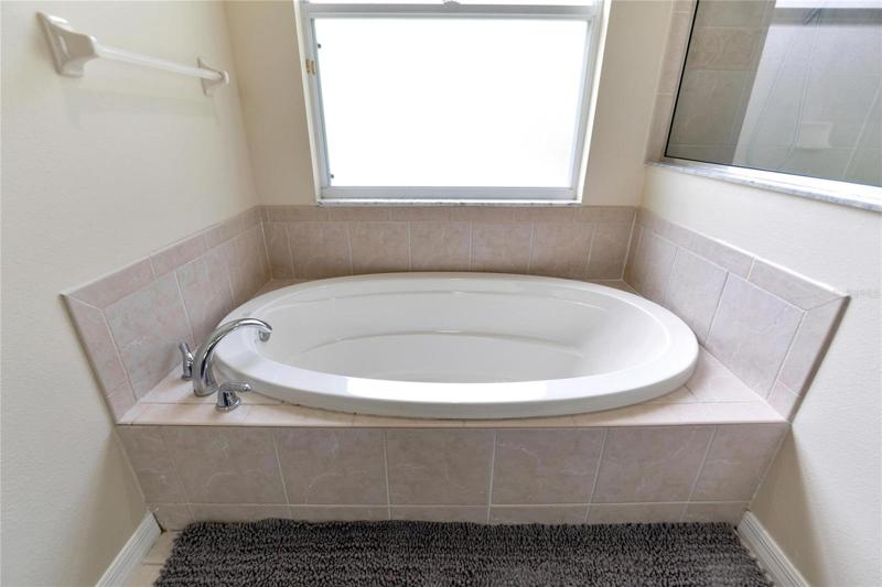 Master bathroom garden tub