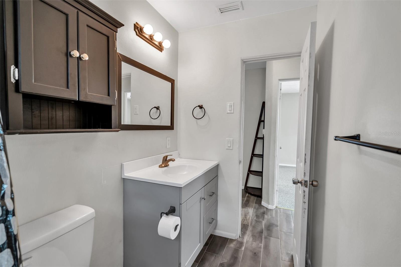 Hallway bathroom