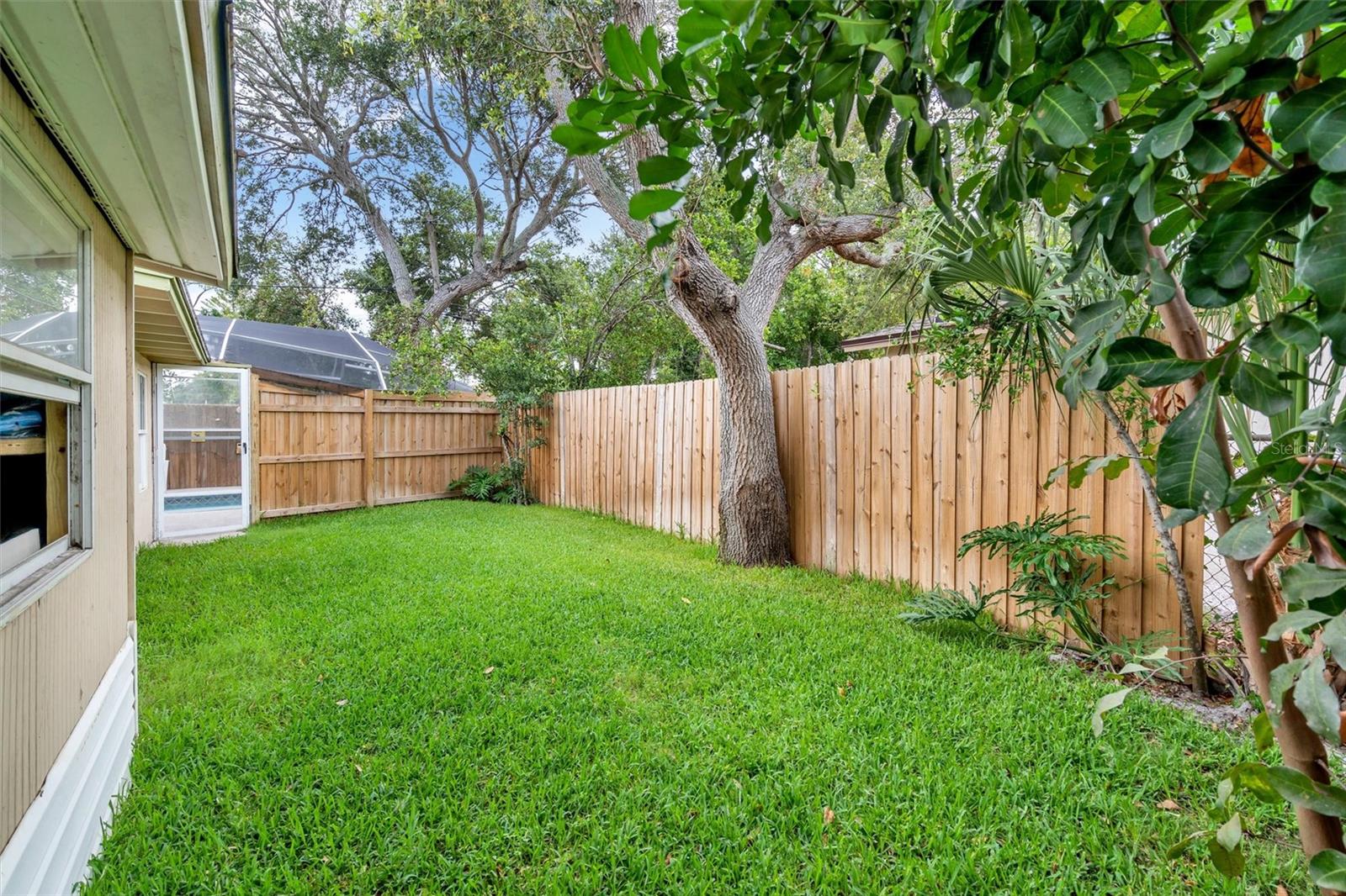 Backyard