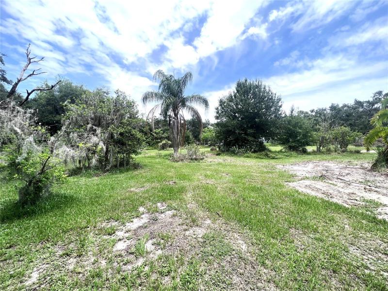 Rear Yard