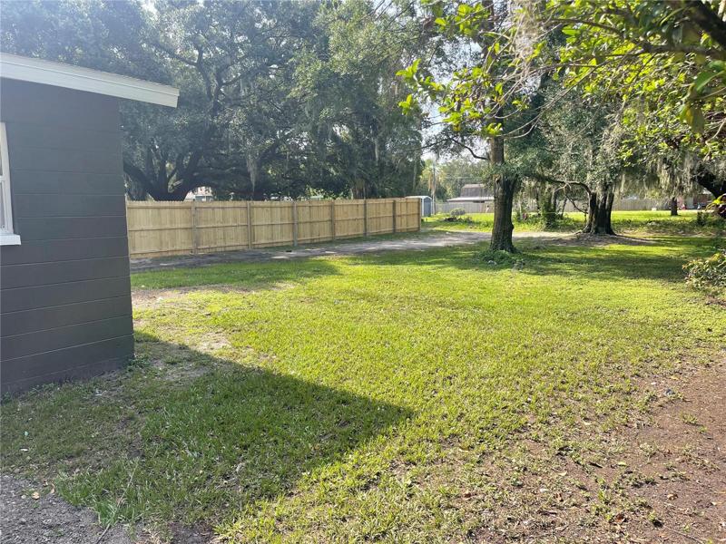 large backyard