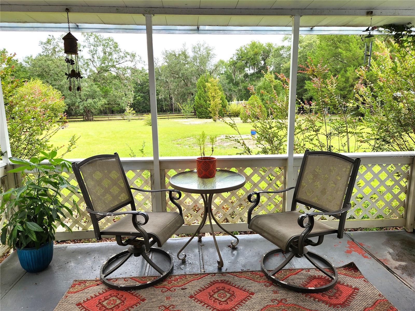 View From Porch