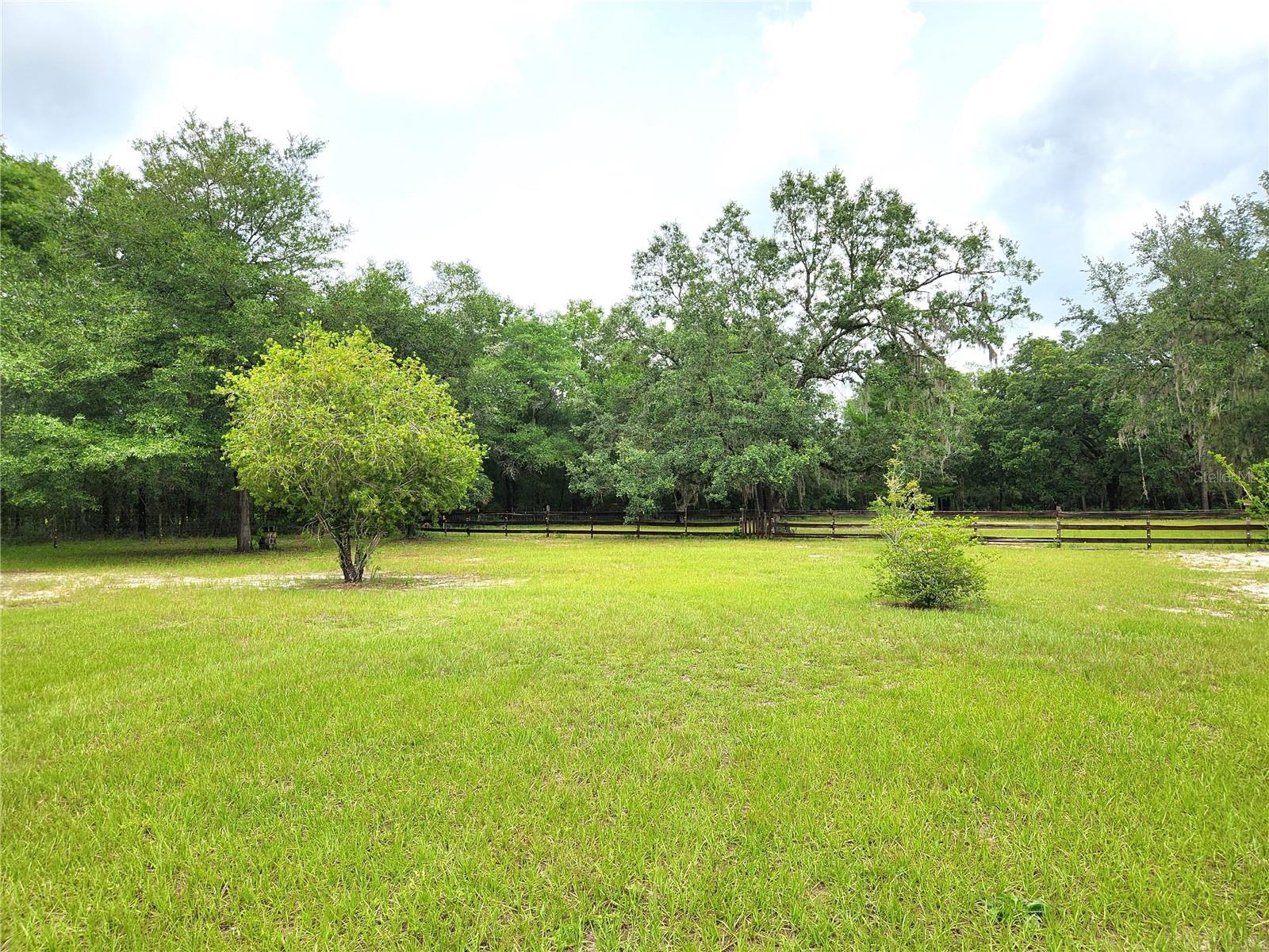 Pasture Behind Home