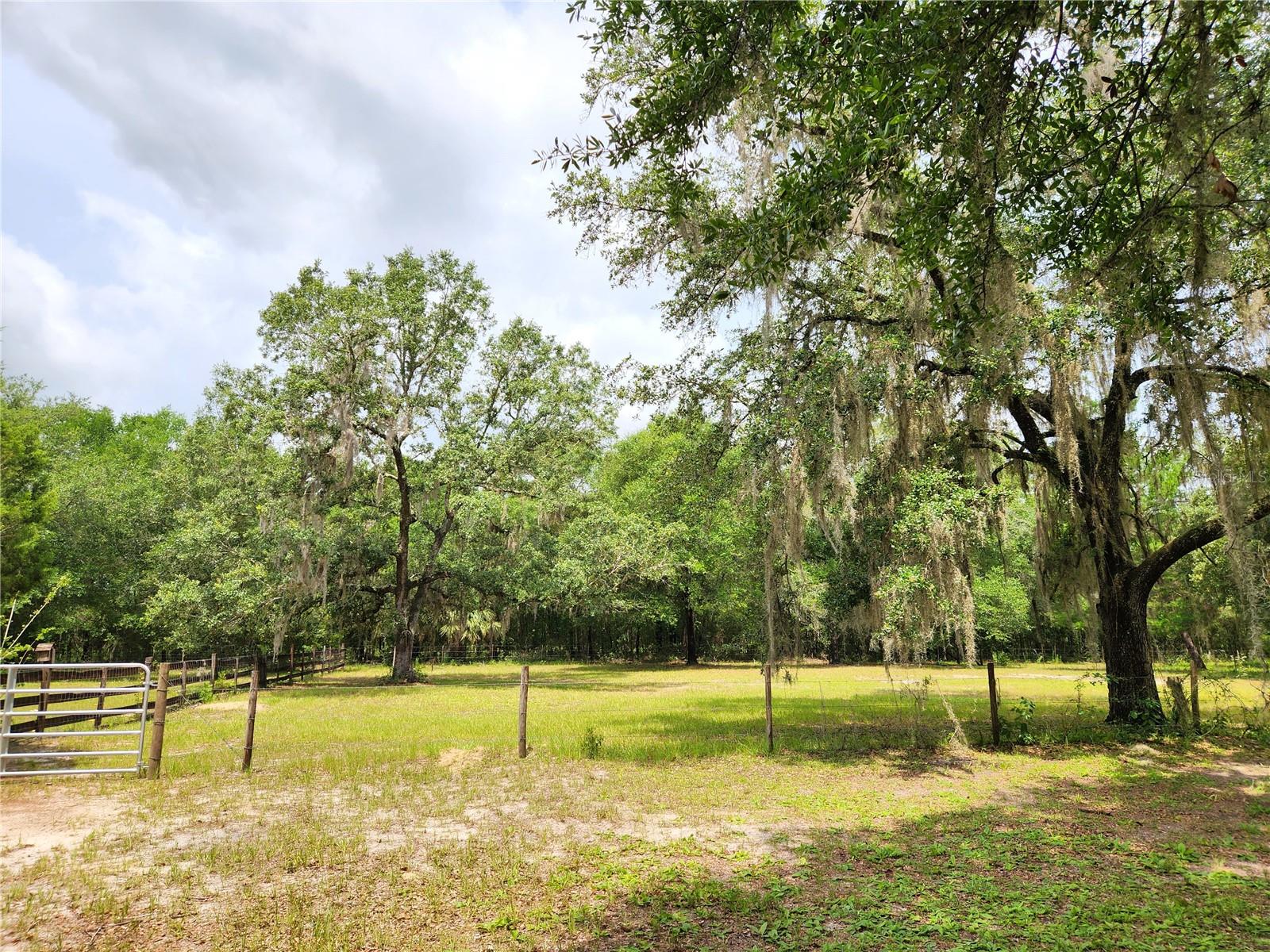 Pasture Between Homes