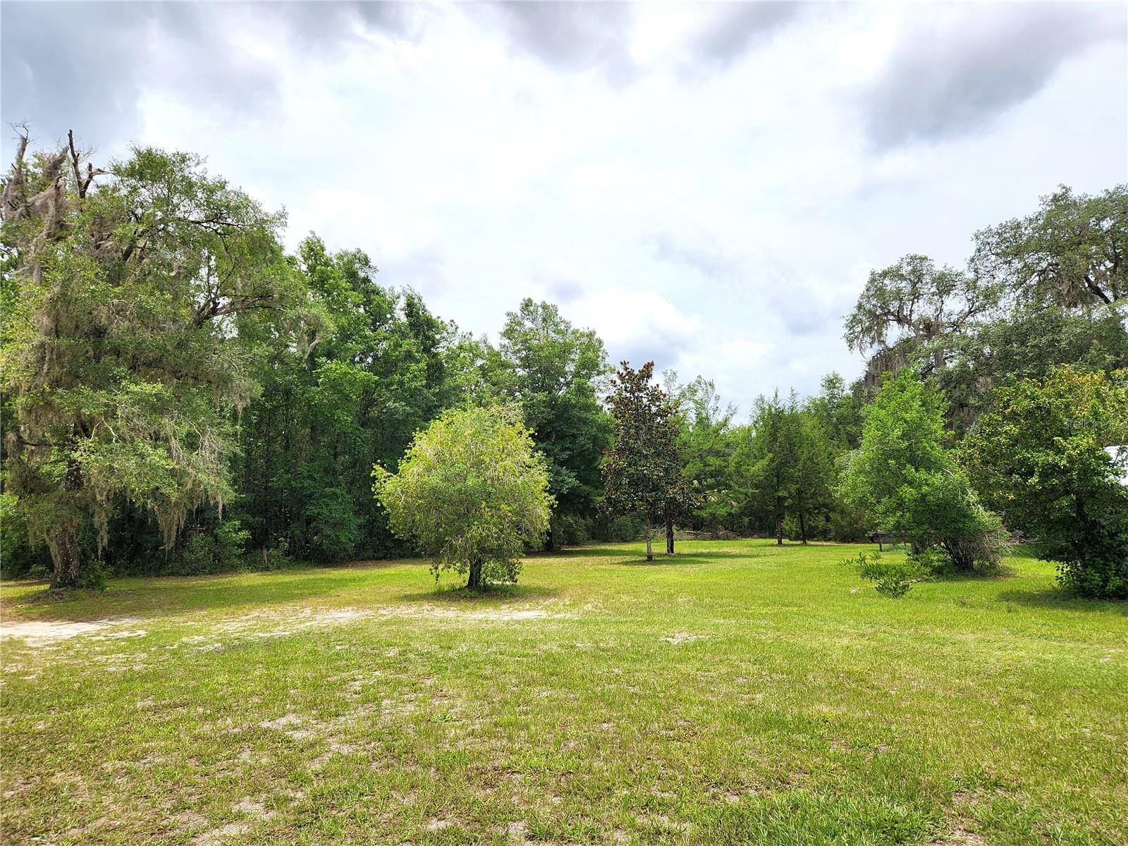 Front Yard