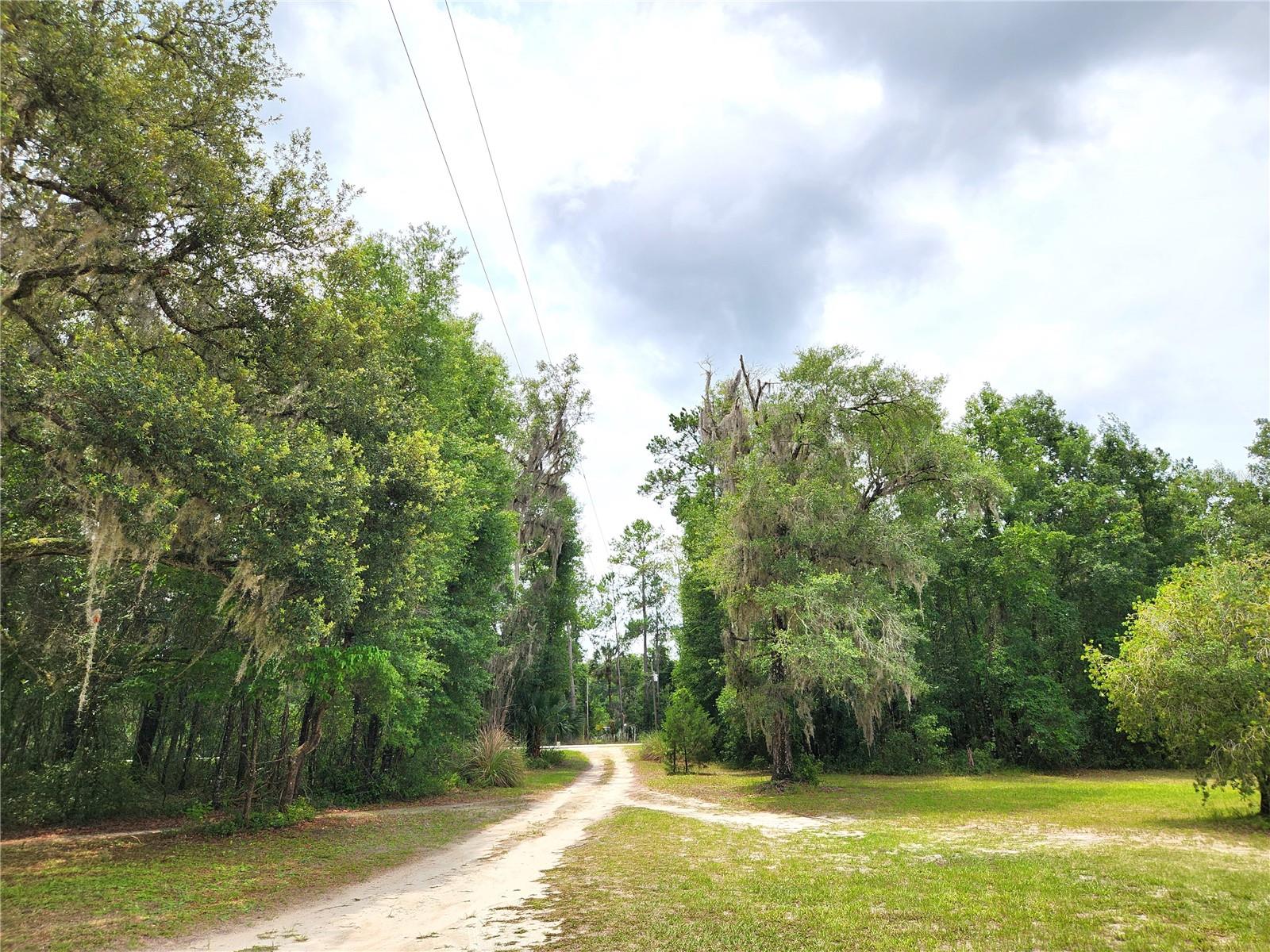 View Toward Road
