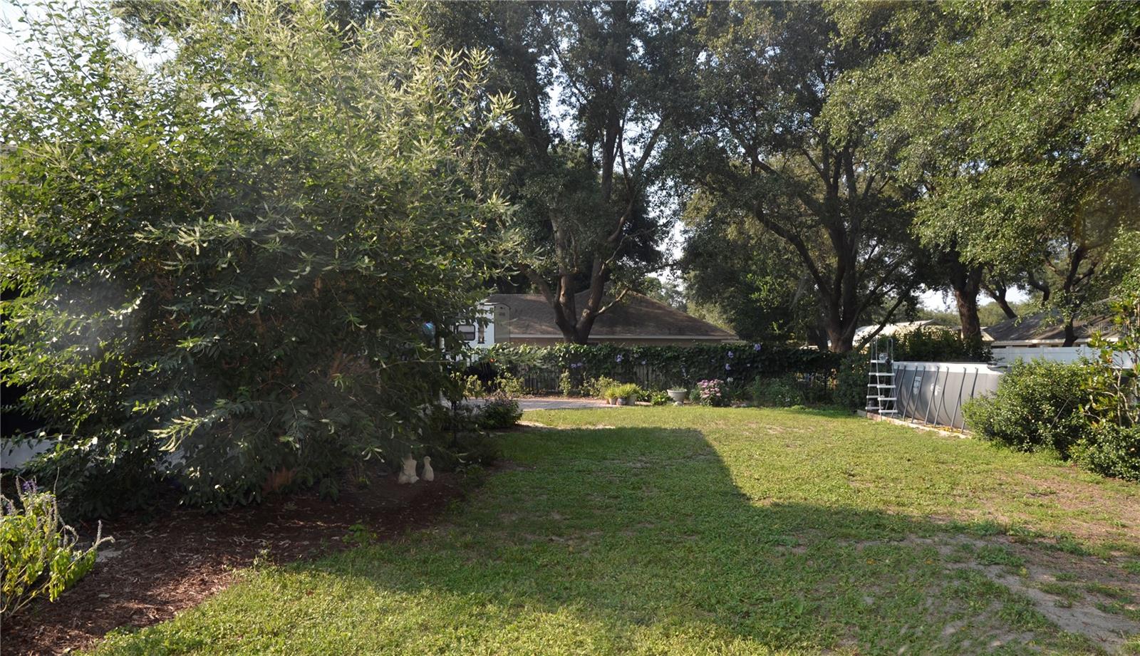 Spacious back yard.