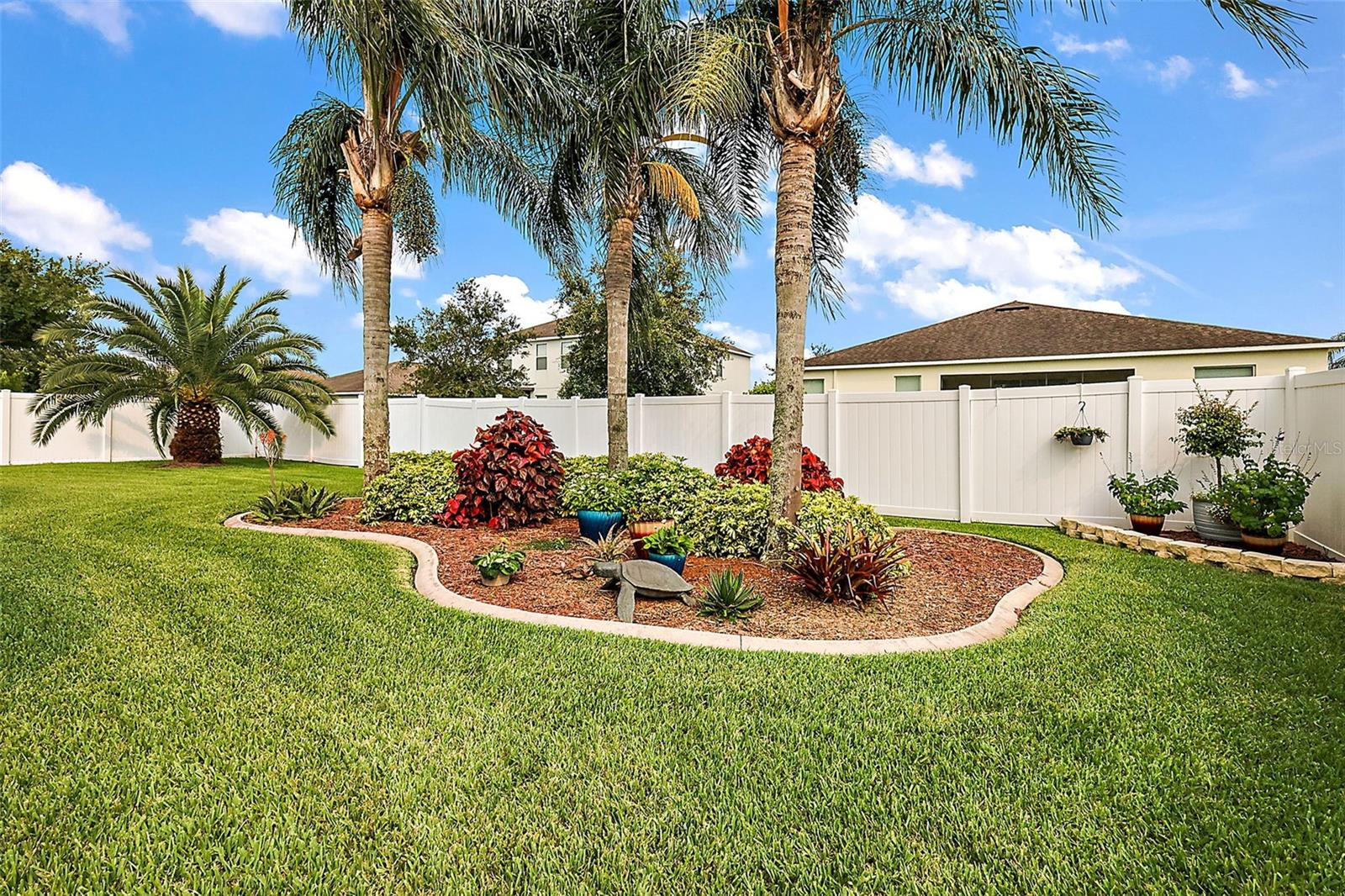 Palm Tree Island
