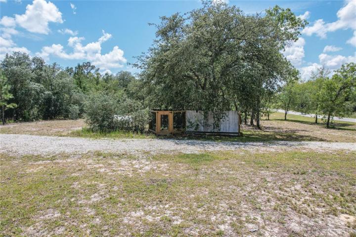 Chicken Coop
