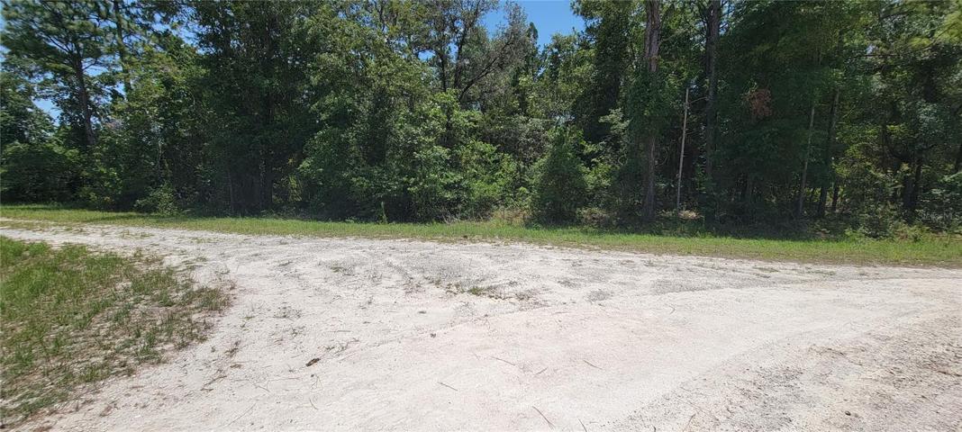 SOUTHEAST FACING FRONT OF PROPERTY
