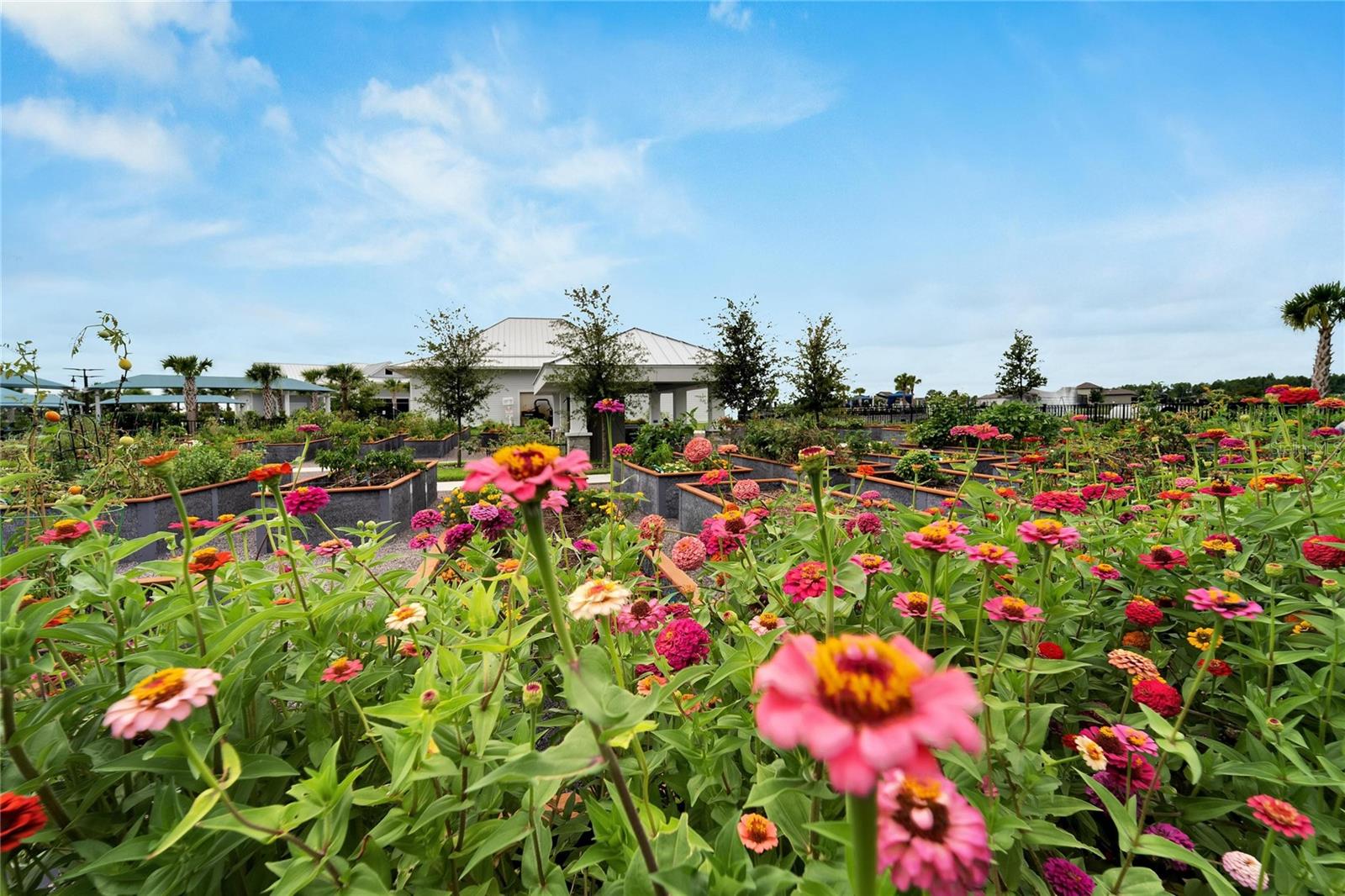 community gardens