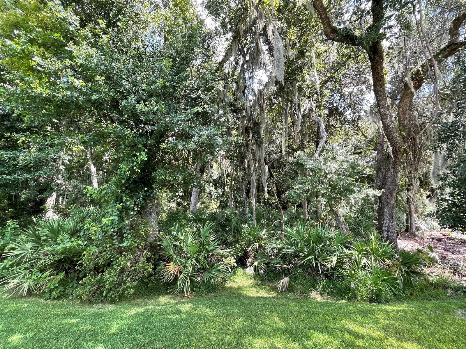 Rear View Preserve