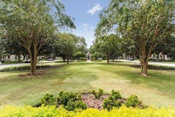 Park
