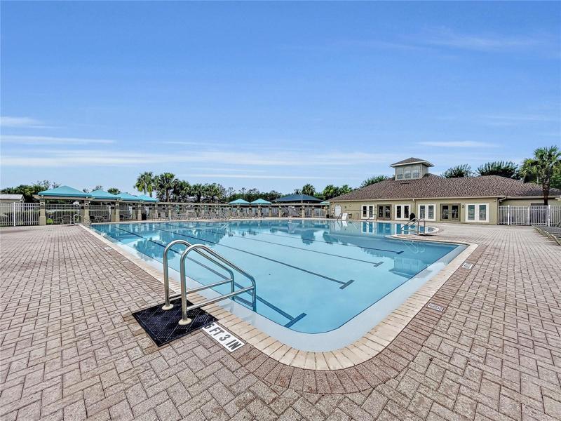 Lap pool for the serious swimmers