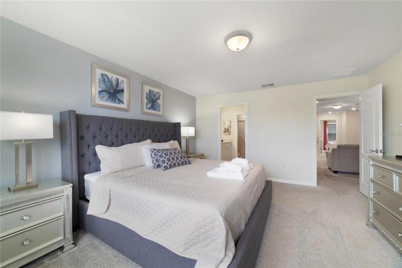 PRIMARY SUITE.