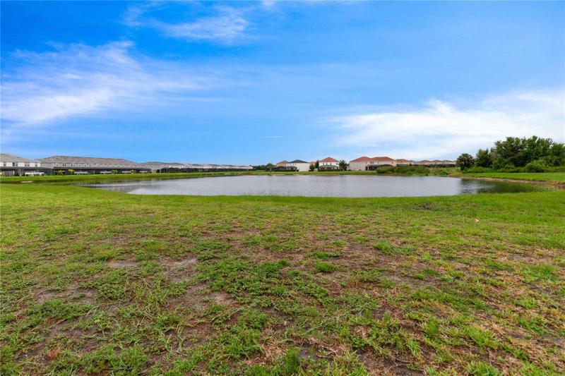 Pond views!