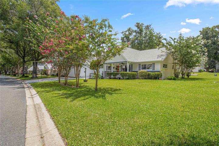 Green Space & Tree Lined Street