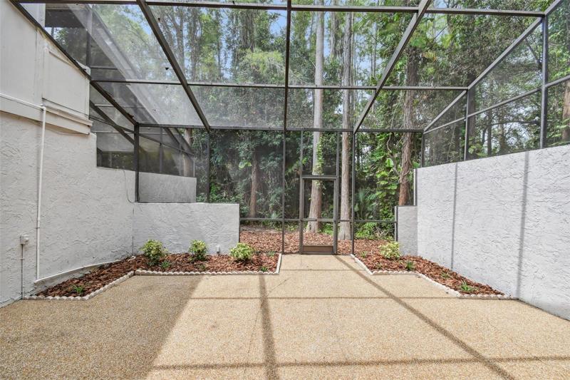 Mother Nature's privacy fence