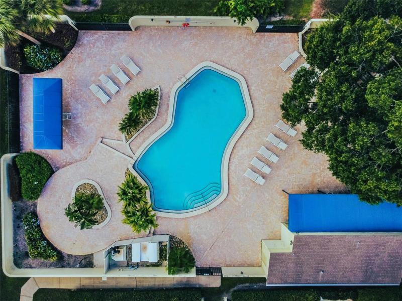 Well maintained sparkling pool