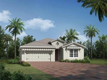 Aurora West Indies Rendering