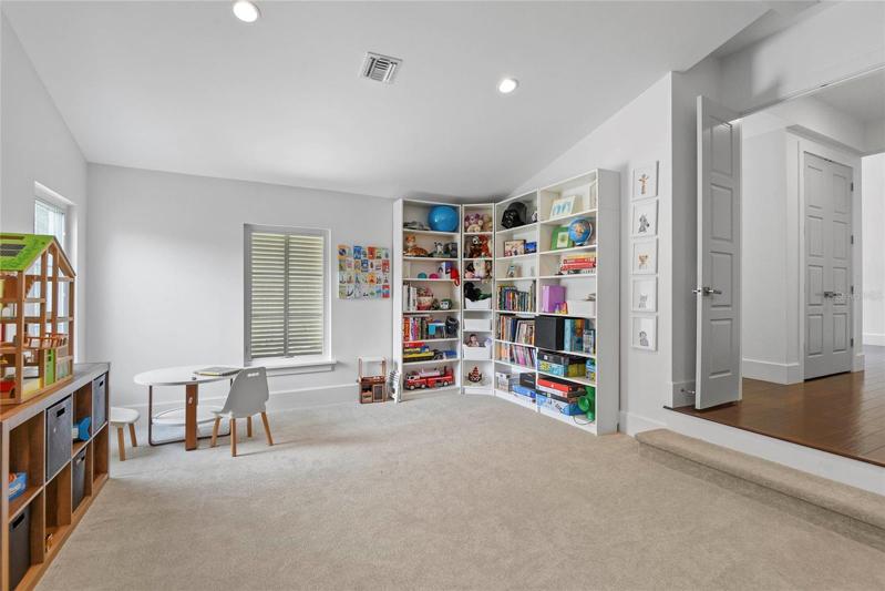 Game room/Theater