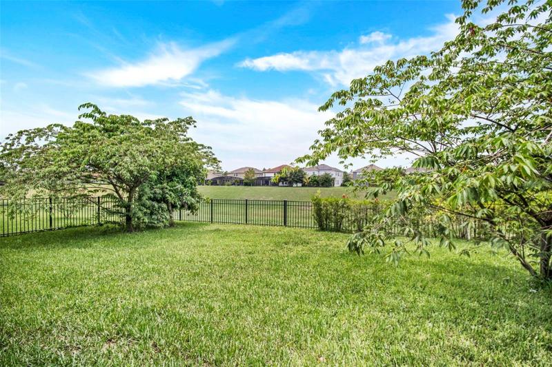 Mature Fruit Trees - Mango, Japanese Cherry, Mixed Citrus