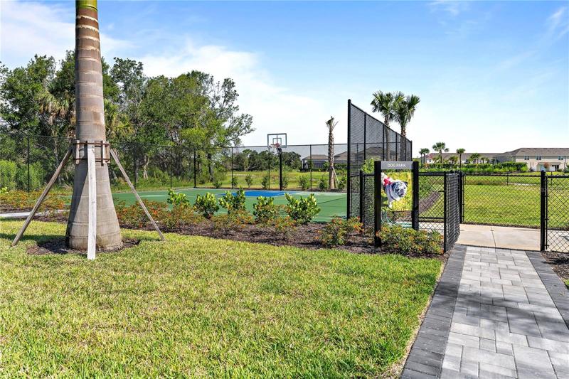 Basketball court of community