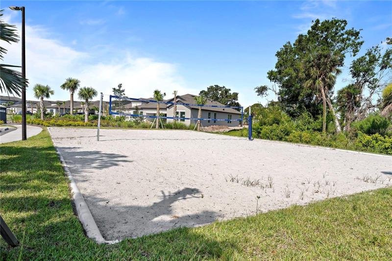 Ball court