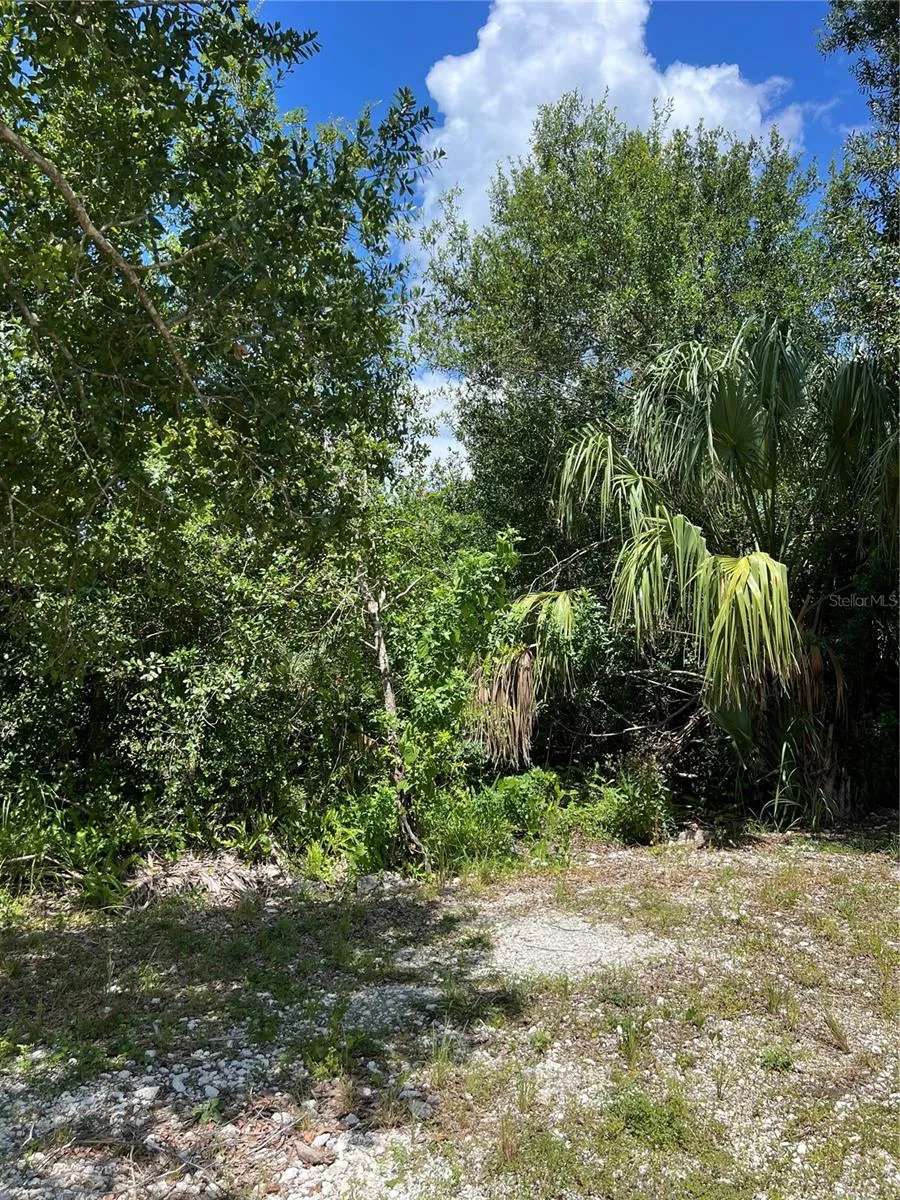 527 Orange Brook Lane, Punta Gorda, Florida 33982, ,Land,For Sale,ORANGE BROOK,O6122240