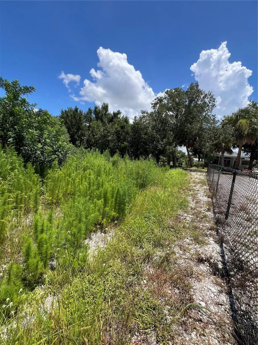 527 Orange Brook Lane, Punta Gorda, Florida 33982, ,Land,For Sale,ORANGE BROOK,O6122240