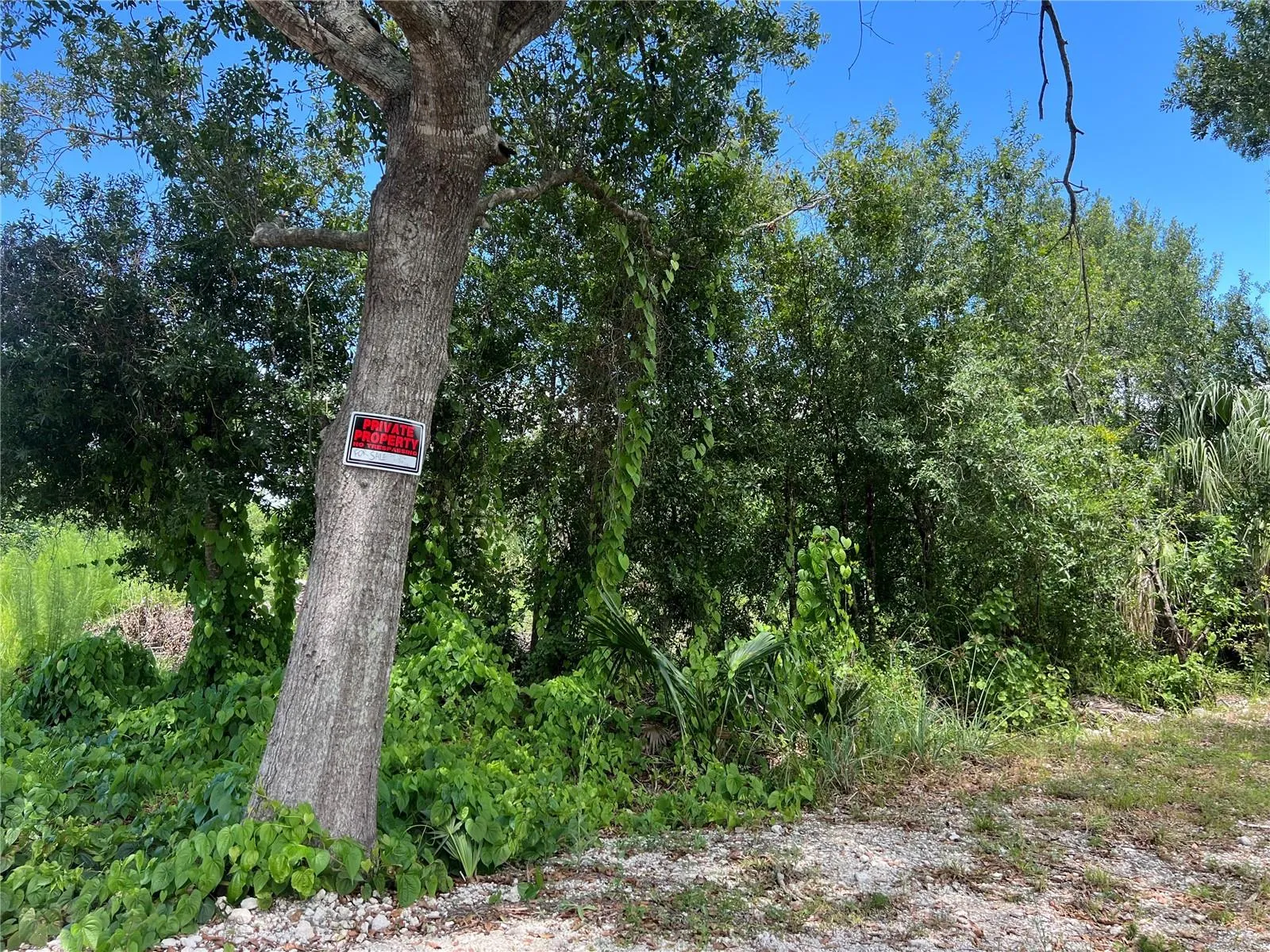 527 Orange Brook Lane, Punta Gorda, Florida 33982, ,Land,For Sale,ORANGE BROOK,O6122240